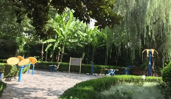 面团启示录