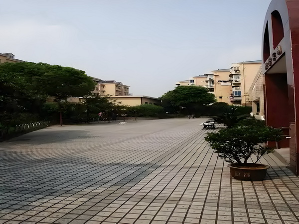 误惹神秘酷首席